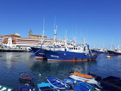Barcos pesqueiros no porto /EUROPA PRESS - Arquivo