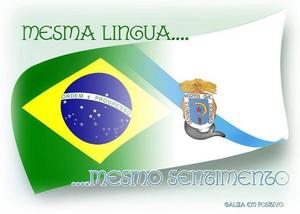 Bandeiras de Galicia e Brasil