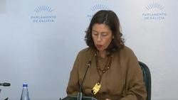 A directora xeral, María Sol Díaz Mouteira, durante a celebración da comisión / Parlamento