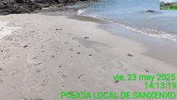 Restos aparecidos nunha praia de Sanxenxo / PL SANXENXO