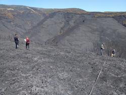 Arquivo - Técnicos do Centro de Investigación Forestal de Lourizán (Pontevedra) avalían os danos na Serra do Courel (Lugo) provocados polos incendios.. XUNTA - Arquivo / Europa Press