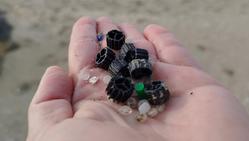Elementos de plástico que apareceron en praias de Nigrán e Baiona / Limpiarousa