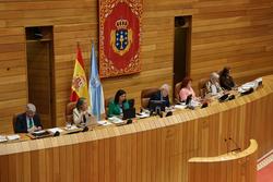 Momento do pleno da Cámara galega o 7 de maio de 2025 / PARLAMENTO DE GALICIA