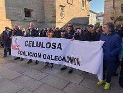 Integrantes de Coalición Galega nunha manifestación contra Altri e as celulosas / remitida