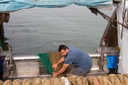 Pesca artesanal / XUNTA DE ANDALUCÍA - Arquivo