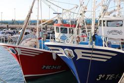 Barco pesqueiro, pesca en Canarias. CONSELLERÍA CANARIA DE PESCA / Europa Press
