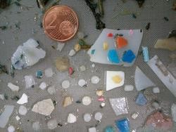 Mostra de microplásticos achados nos nosos océanos / Jesús Gago Piñeiro (IEO)