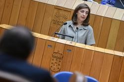 A conselleira de Medio Ambiente, Ángeles Vázquez, no pleno do Parlamento / XUNTA